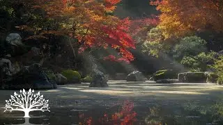 Canon In D - Guitar And Cello Music - Beautiful Melody For Studying And Relaxing