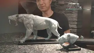 Smilodon populator 1/6 scale Jun's Anatomy model review