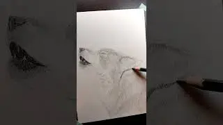 Drawing a Wolf Howling 🐺 | Pencil Art | Gabriel Knight 2 Tribute