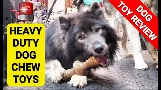 HEAVY DUTY Chew Toys My Dogs Love - Benebone, Lumabone, Dinosaur BarkBone Review