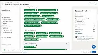 LinkedIn Ads tutorial - campaign and audience setting - 20251112