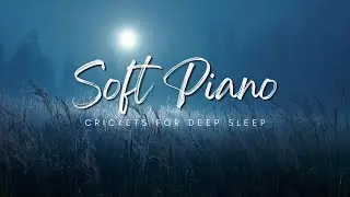 Calm Sleep Music &ndash; Piano, Crickets and Night Sounds &ndash; Relaxing Music for Healing Dreams