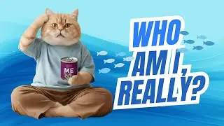 From Tuna to Cat Food: A Cat&rsquo;s Lesson on Change and Identity