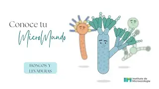 Conoce tu MicroMundo I Hongos y levaduras