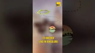 The Uneven Rainfall and Flooding Situation in Bengaluru and What&rsquo;s the Phenomenon Behind it.