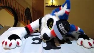 Killjoy Coyote MCRX unboxing