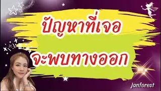 🫰🏻 ปัญหาที่เจอ..จะพบทางออก 🥰✌🏻💪🏻💸 #janforest #แรนดอม #tarot 