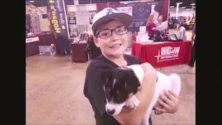 Dogdad Approved Road Show: Greater Philadelphia Pet Expo