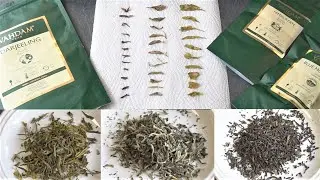 VAHDAM Tea challenge Premium TEA // GREEN, WHITE, BLACK TEA // UNBOXING & REVIEW