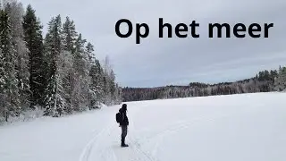 Nieuwe manier sneeuwschuiven proberen.  Bandit in de sneeuw. Koekjes bakken.