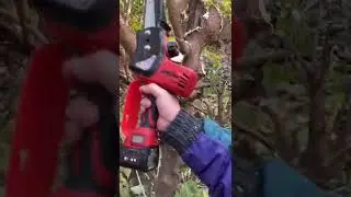 36V Lithium battery scissors electric pruner shear electric tree pruning shears for sale