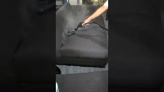 disinfect clean kills all bacteria viruses dust mites bed bugs using steam cleaning system