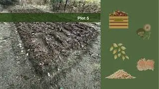 The Pollinator Highway Project 2025