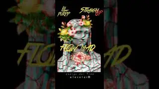 Flow Mad - Lil Purpp ❌ Str8 Killer