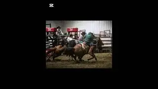 Gage - Top Gun Horse Sale 2026
