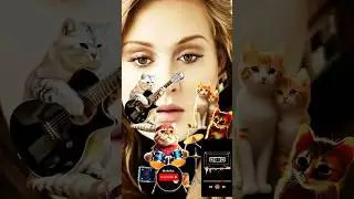 #adele #adelelive #adelehits #adelehello #hello #cat #uk #fypシ #foryou #ytshorts #attitude