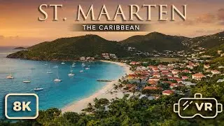 Caribbean Paradise in 8K 3D: St. Maarten / St. Martin VR 180 Tour