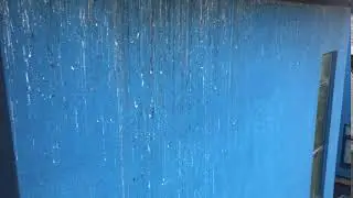 Pigeon Droppings Ruining Rendered Walls