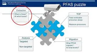 Analysis of PFAS in food packaging by targeted and non-targeted approaches