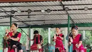 Missing (tribe) Dance, second largest tribe of Assam🥰 || #shortvideo #viralvideo