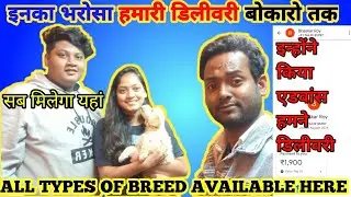 Dog delivered Patna to Bokaro | online dog delivery Patna | online dog seller