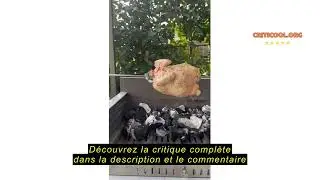 Avis sur la Giemme Spoleto Tournebroche &Eacute;lectrique Pour le Chemin&eacute;e et le Barbecue C R&eacute;glable, 5 W,