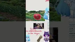 Кого выбрать? #vtuber #sleduck #twitch #D_maf_ #юмор #memes #shorts #sledovatelgameshow
