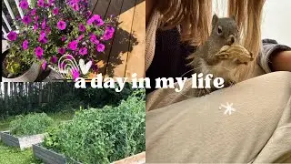 Garden update and why not to have pet squirrels!