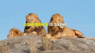 Learn Success from Animals | Powerful MotivationLion, Eagle, Wolf & Leopard Motivation