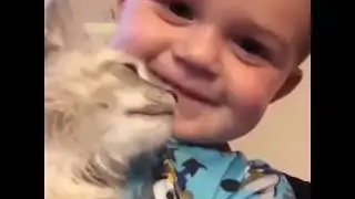 Funny Cat & Dog Vines Compilation 2019 - Try not to laugh