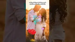 Tarot card Reading aapko commitment Dena chahte Hain#love#subscribe1000#like#learntarotwithsavita