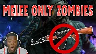 RDC PLAYS ZOMBIES WITH JUST HANDS!