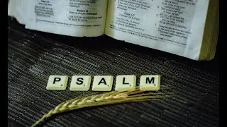 Psalm 45 - Ode for a Royal Wedding #psalm45 #psalms45 #psalms #psalmsongs  #jesus  #bible
