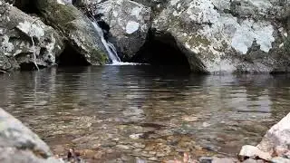Study Music Alpha Waves: Relaxing Studying Music, Brain Power, Focus Concentration Music,