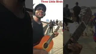 Three Little Birds BobMarley cover 2#street#bobmarley#rasta#reggae#newyear