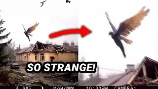 Most Disturbing Hunting Encounters Caught On Camera
