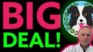 APOLLO INU - THIS IS A BIG DEAL!