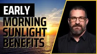 Neuroscientist: How To Use Light To Improve Health & Wellbeing | Andrew Huberman