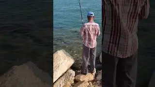 CATCHING FISH ON A BRIGHT SATURDAY MORNING AL KHOBAR CORNICHE #short #satisfying