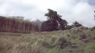 Grass hills ,seventh heaven, valparai