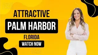 What Makes Palm Harbor Feel Like Home