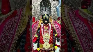Navratri Festival Status 🌺🌺 l #navratrispecial #guptnavratri2026 #status #bhaktishorts #maavaishnavi