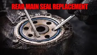 Oil Seal Replacement | Auto Repair Training for Your Engine Build