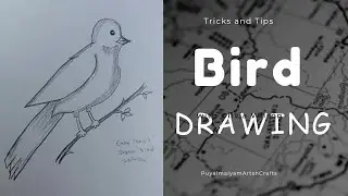 Simple Bird Drawing | Easy Pencil Sketch and Shading #drawing