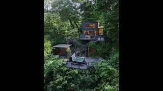 Modern unusual forest house design ideas