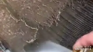 AC Condenser Cleaning