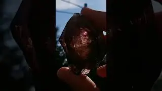 This Crystal Has Water Trapped Inside! How Do Enhydro Crystals Form? #gems #crystals #water