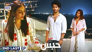 Habs 2nd last Episode | Promo | Presented By Brite | Ushna Shah | Feroze Khan | ARY Digital Drama