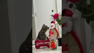 Charlie got flowers!