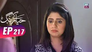 Haya Ke Rang Episode 217 - Ali Ansari - Fahad Sheikh - ARY Zindagi - Pakistani Drama